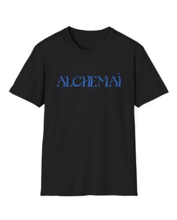 Alchemai your fear of looking stupid is holding you back Unisex Softstyle T-Shirt