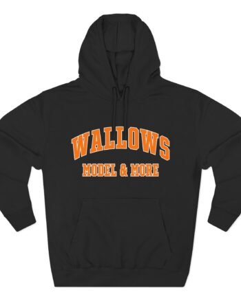 Wallows Model And More Three-Panel Fleece Hoodie