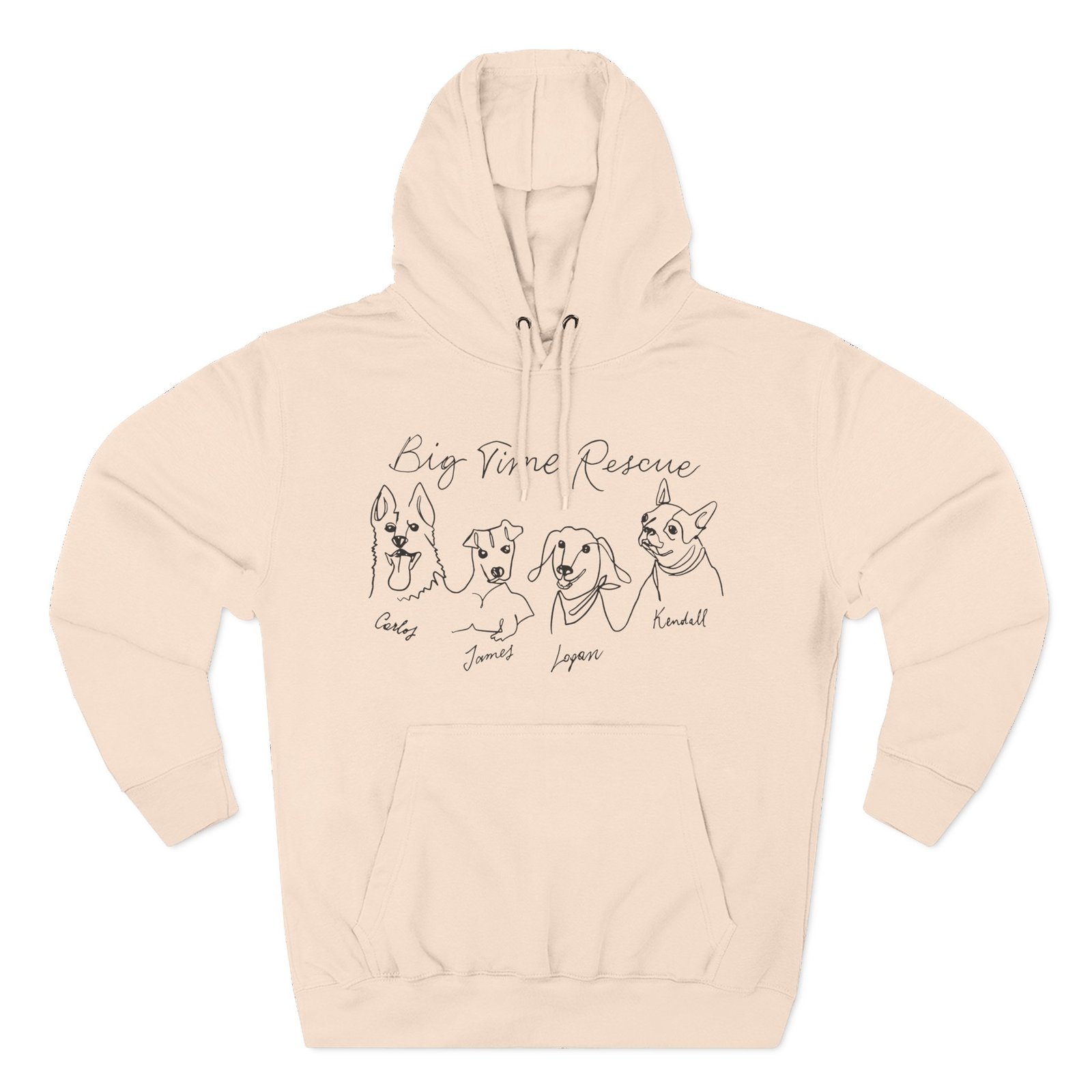 Big Time Rush Big Time Rescue Three-Panel Fleece Hoodie